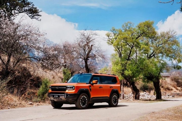 202603261652281684029703